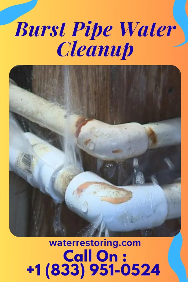 Burst Pipe Water Cleanup in Kathryn, ND