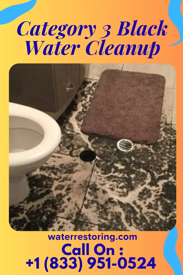Category 3 Black Water Cleanup in Kathryn, ND