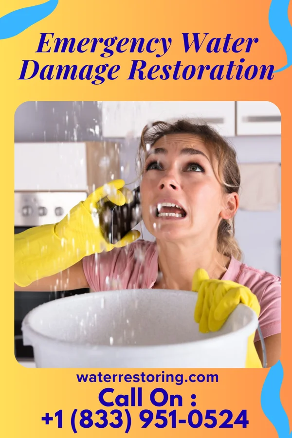 Emergency Water Damage Restoration in Kathryn, ND